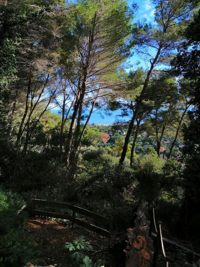 Cabane Azur Mountain Vallauris Kültér fotó